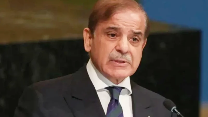 PM pledges continued efforts to further improve macroeconomic indicators