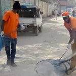 Rising concern over dog bites as 18 cases emerge in a day
