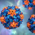 Poliovirus samples detected in 16 European countries