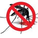 Islamabad gears up for anti-dengue fight before monsoon