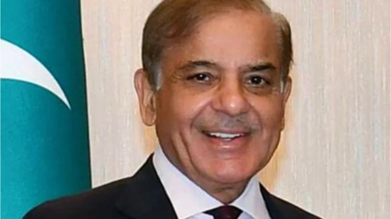 Recharge Pakistan initiative to mitigate climate induced risks: PM