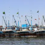 Minister warns of underwater heat emergency in Arabian Sea, urges climate action