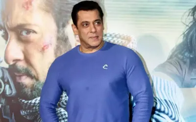 Salman Khan claims South audience don't support Bollywood films