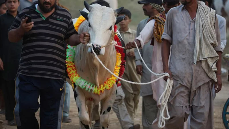 Eidul Adha 2024: How many holiday to expect