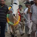 Eidul Adha 2024: How many holiday to expect