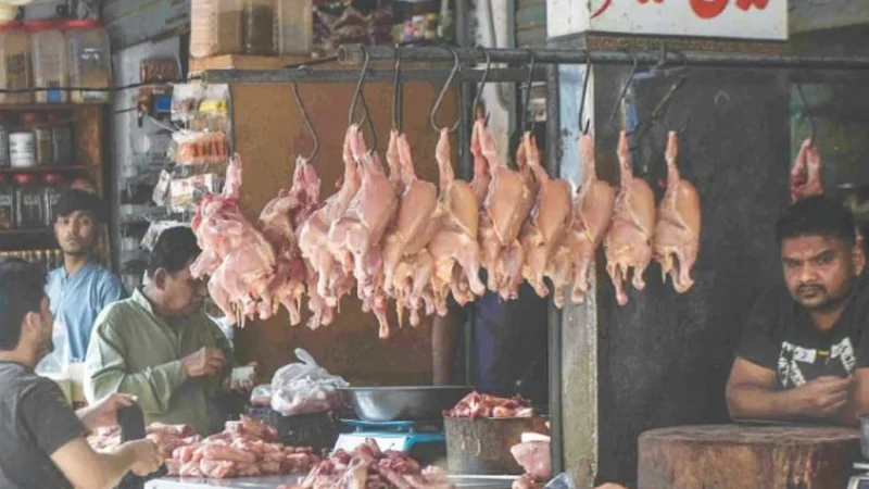 Chicken meat price increases in Pakistan; Check latest rates here