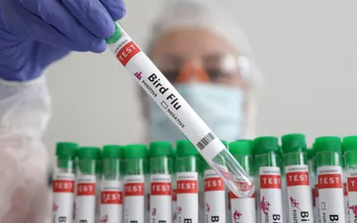 WHO confirms first human fatality from H5N2 Bird flu