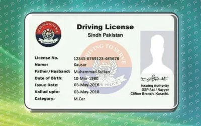 Sindh to introduce online driving license service for citizens