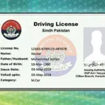 Sindh to introduce online driving license service for citizens