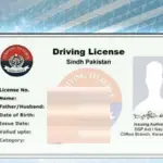 Sindh Police launches online driving license service