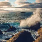World Ocean Day marked today, focus on ocean health and recovery