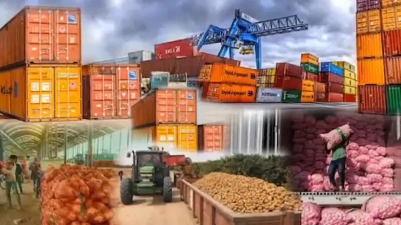 Experts call for policy support, Reforms to boost food exports