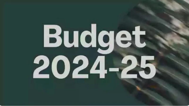 Budget 2024