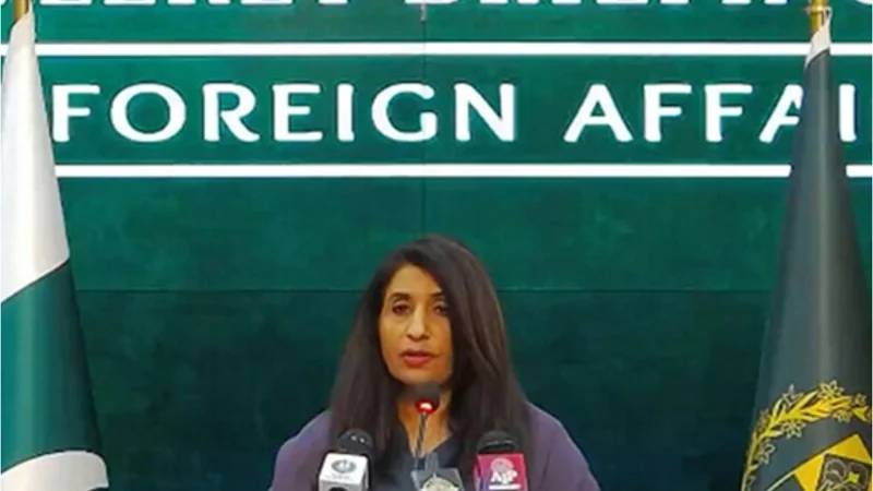 Pakistan welcomes UN report on Palestine: FO Spox