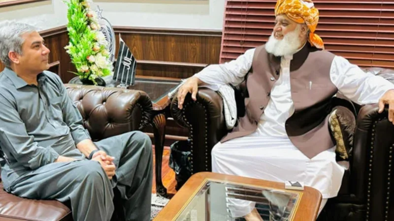 Interior Minister Mohsin Naqvi meets JUI-F Chief