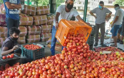 Tomato prices surge in Peshawar before Eid-ul-Adha