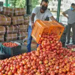 Tomato prices surge in Peshawar before Eid-ul-Adha