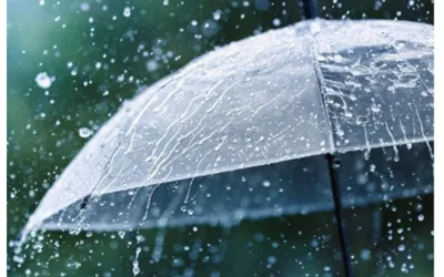 Light Rain and Drizzle Predicted in Karachi Today!