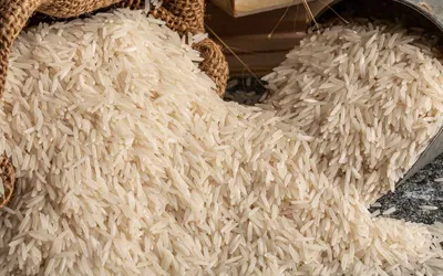 Basmati rice prices drop in Pakistan