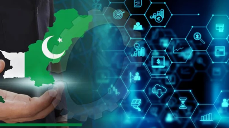 IT exports surges to stunning $332m in May 2024