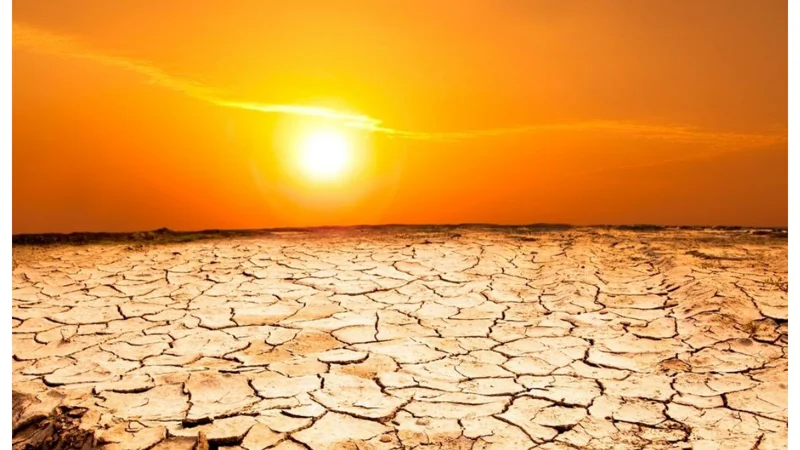 Dubai Faces Sweltering Heat As Temperatures Hits Record High!