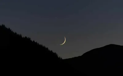 Muharram moon sighting: Ruet-e-Hilal Committee to meet on June 15