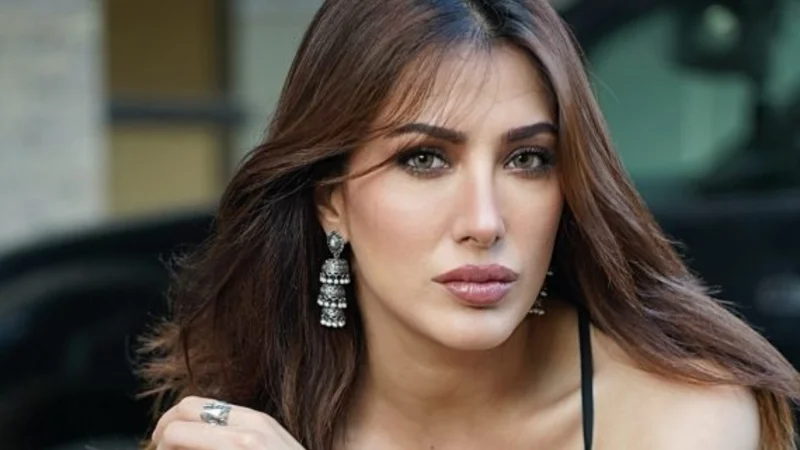Mehwish Hayat explains why she avoids Bollywood roles