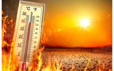 Karachi Heatwave Alert: Heatstroke Signs, Emergency Care & Prevention Advice
