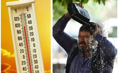 Karachi Heatwave Alert: Temperature Hits 42°C, Feels Like 50°C