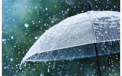 Karachi Rain Forecast: Substantial Rainfall Anticipated in July 2024