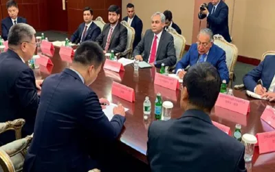 Naqvi, his Chinese counterpart discuss security matters in New York