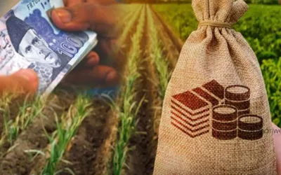 Sindh Government Loan Scheme 2024 For Agricultural Students (Interest Free)