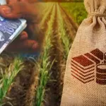 Sindh Government Loan Scheme 2024 For Agricultural Students (Interest Free)