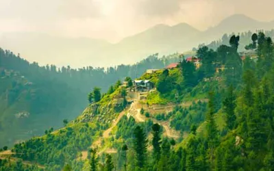Punjab govt approves glass train service from Rawalpindi to Murree