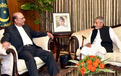 Zardari, Bilour discuss political, security situation
