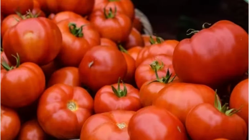 Tomato Prices Rise Across Pakistan; Check Latest Rates
