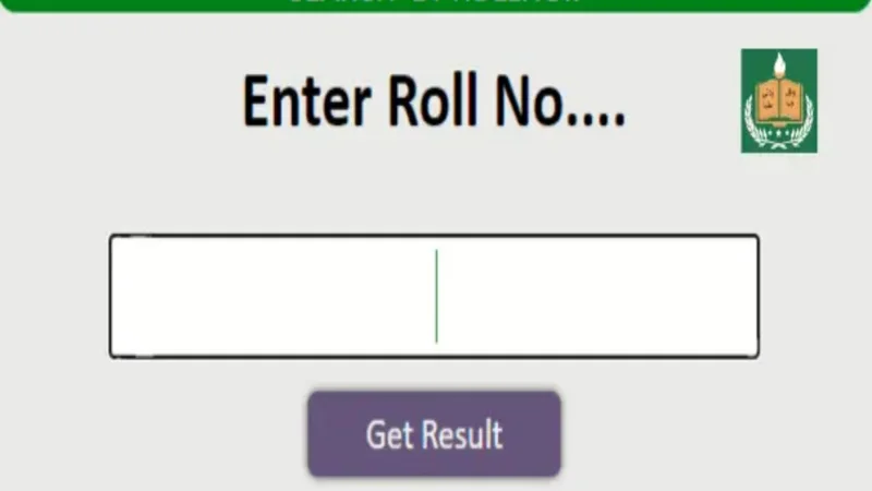 Punjab Board Matric Results 2024 - Check Result By Name, Roll Number