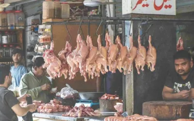 Chicken meat prices rise again in Pakistan; Check latest rates here