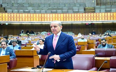 Shehbaz tells NA no decision on wheat export made yet