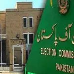 ECP clarifies it did not misinterpret any decision