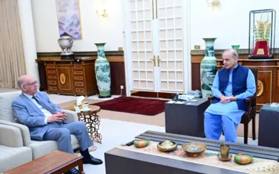 PM calls for exposing elements spreading uncertainty in country