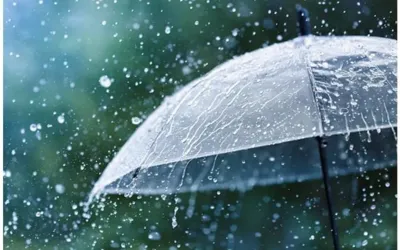 Lahore, Punjab weather update: Rains, Gusty Winds Expected!