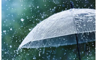 Karachi Weather Forecast: Widespread Rain Expected Today!