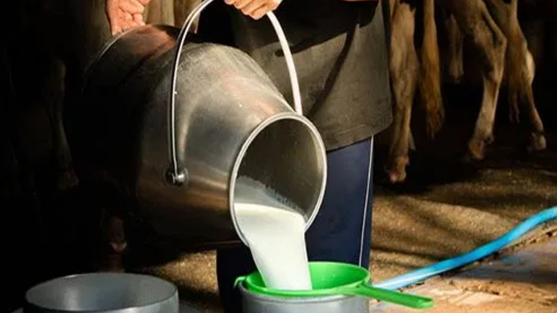 Milk prices increase in Pakistan