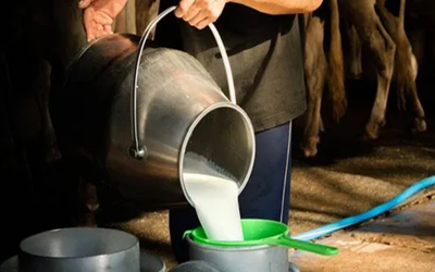 Milk prices increase in Pakistan
