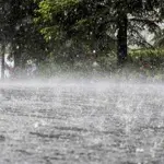 More monsoon rains likely in Lahore, Punjab