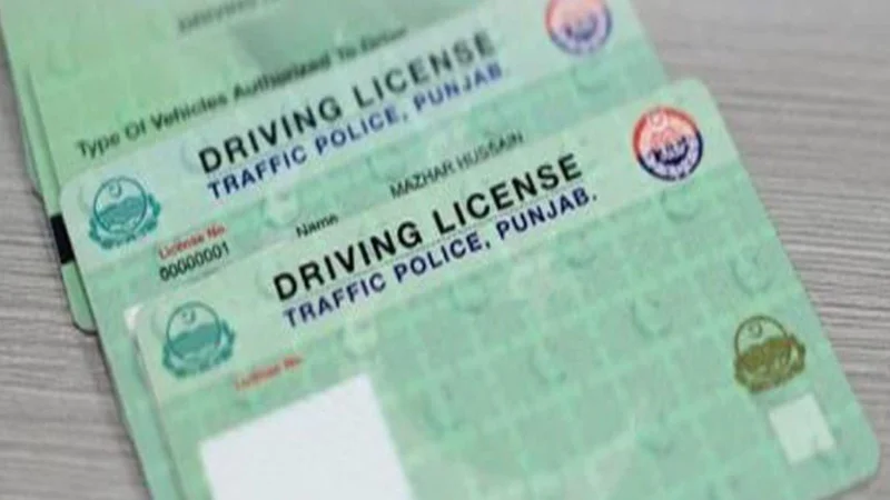 Punjab caretaker chief minister delays driving license fee hike