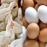 Chicken and egg prices soar in Lahore