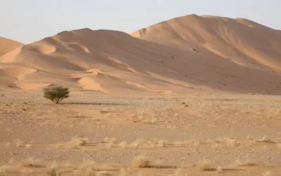 Lost in Rub' al Khali: UAE man found alive after 3 days in Saudi desert