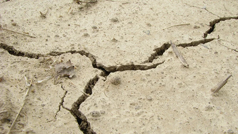 Earthquake in Peshawar